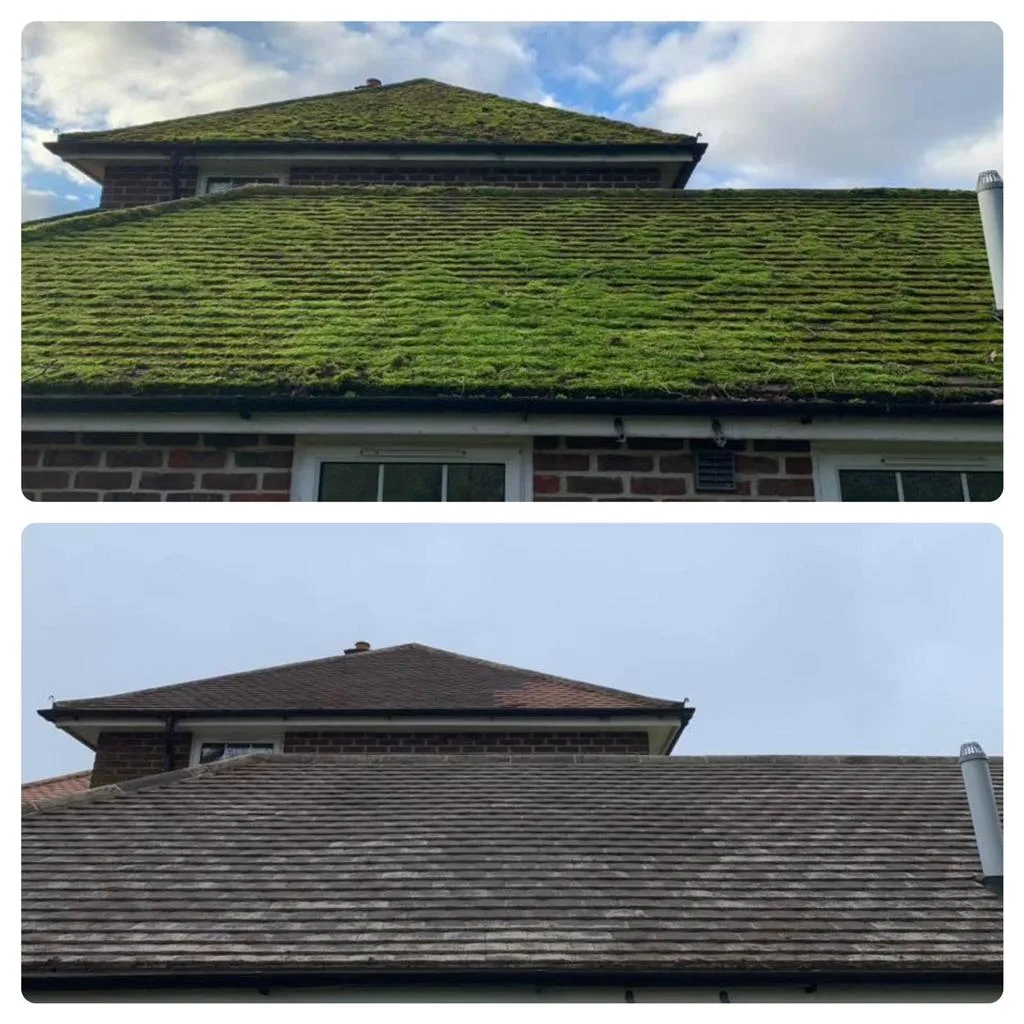 Before and after: a hipped roof thick with green moss, then the same roof cleaned back to bare tiles
